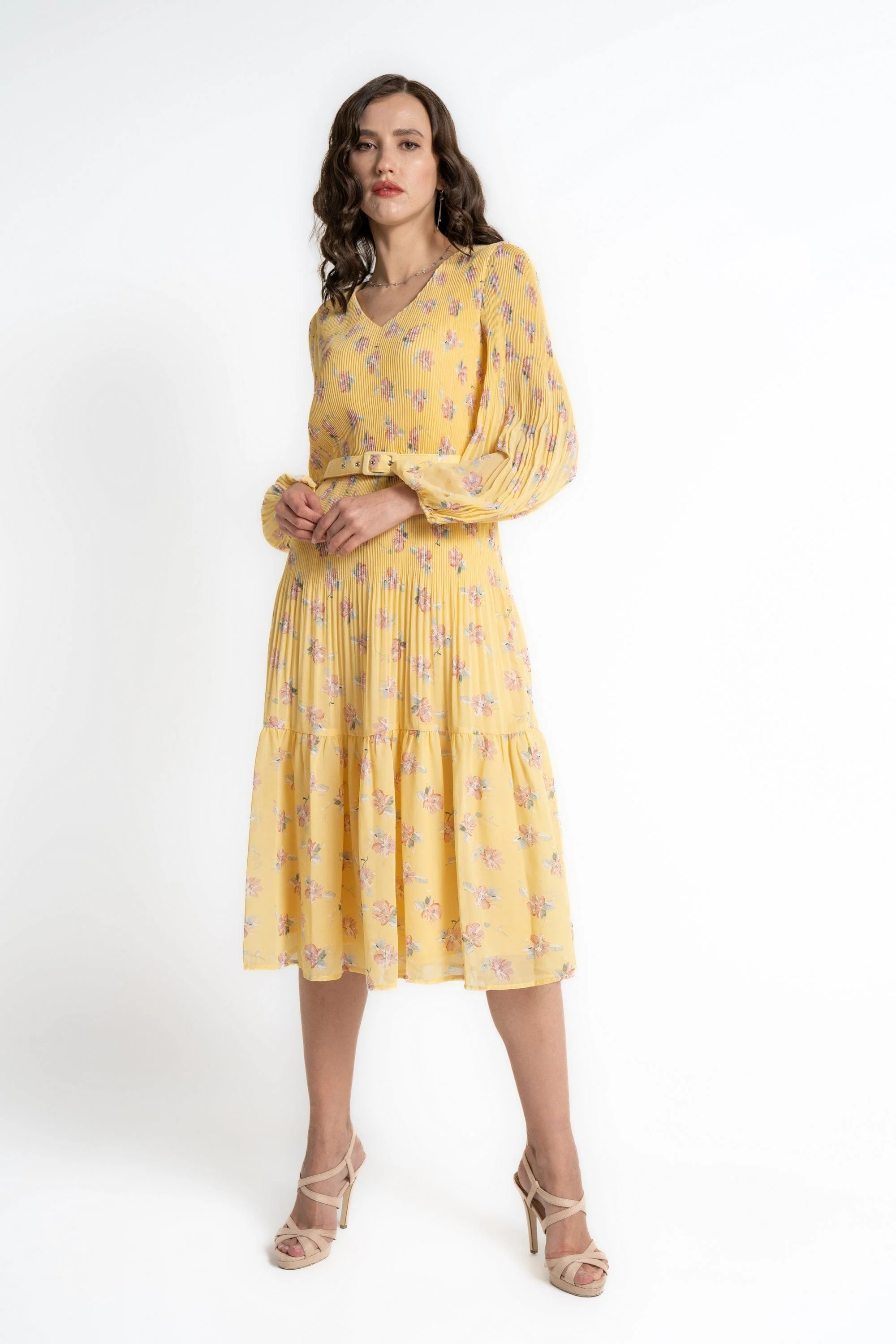 صورة مصغرة 2